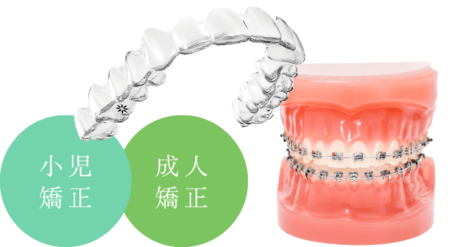小児矯正・成人矯正